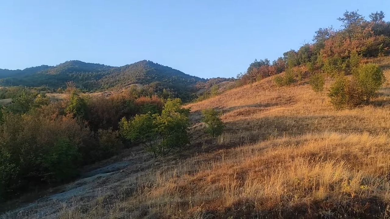 Padine Radan planine sa suvom travom i šumom